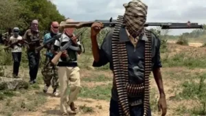 Terrorists Kill Scores, Soldiers Feared Dead In Kwara Village Attack