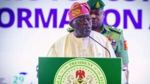 Tinubu Orders Security Agencies To Hunt Kaduna Attackers After 30 Killed In Village Raid