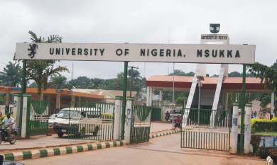 Labour Party Chieftain Sues UNN Over Peter Obi’s Academic Records